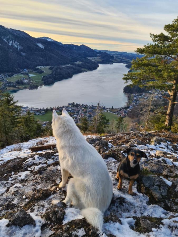 Ferienhaus Gerlach Hintersee Dış mekan fotoğraf